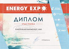 Диплом участника Energy Expo 2019
