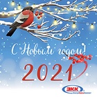 С Новым 2021 годом!